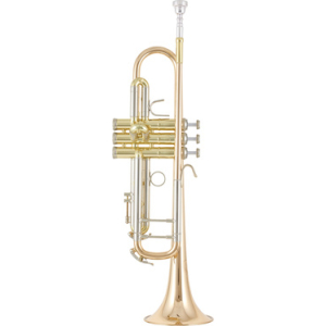 B&S 3137 G-L Challenger I GM