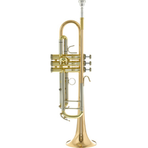 B&S 3143/2GLB-L Challenger II GM