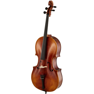 Bernd Hiller & Sohn Master Cello Montagnana 4/4