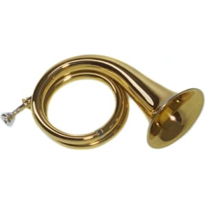 Dotzauer Fürst Pless in Bb 18830