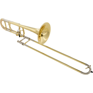 Edwards T-350 E 321CF22G/T-STDN