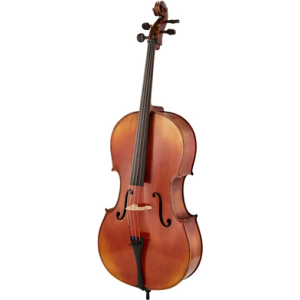 Gewa Allegro VC1 A Cello 4/4