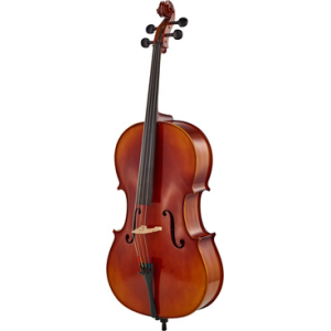 Gewa Allegro VC1 Cello Set 4/4 MB