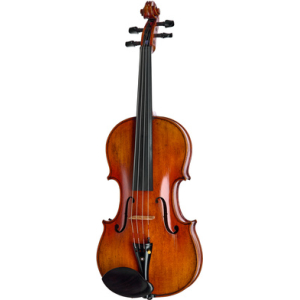 Hidersine Espressione Viola Set 15