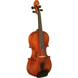 Hidersine Vivente Academy Violin Set 4/4