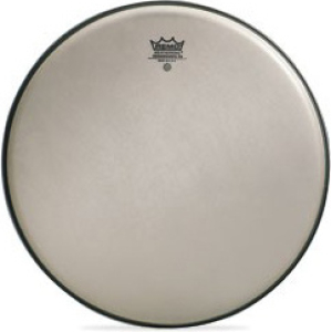 Remo 14" Renaissance Ambassador