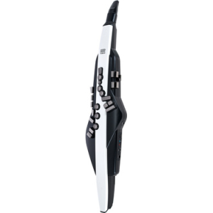 Roland Aerophone AE-20