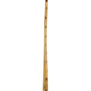 Thomann Didgeridoo Eucalyp. Proline C