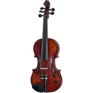 Roth & Junius Acoustic-Electric Violin 5-Str