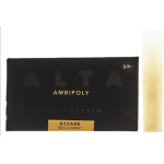 Silverstein Ambipoly Bass Clarinet 3.5+