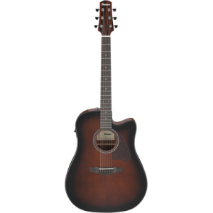 Ibanez AAD51CE-DVS