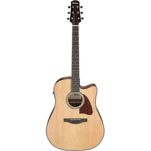 Ibanez AAD51CE-NT