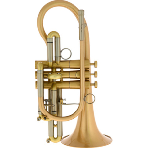Martin Böhme Praedo Bb-Cornet